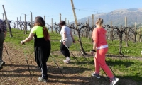 30mar19-SACRO-PROSECCO-4