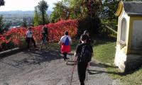 23ott2021-CORSO-BASE-NORDIC-WALKING-23