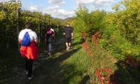 23ott2021-CORSO-BASE-NORDIC-WALKING-42