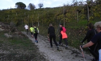 3nov18 SACRO PROSECCO (49)